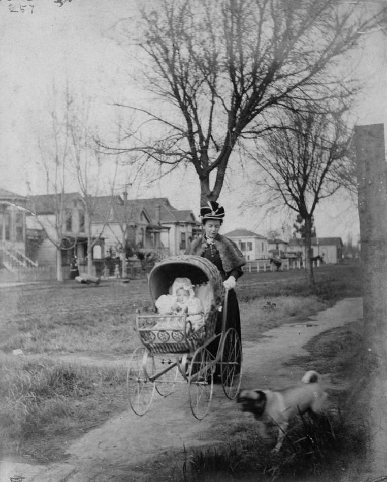 #37 Sacramento, promenade downtown, 1890
