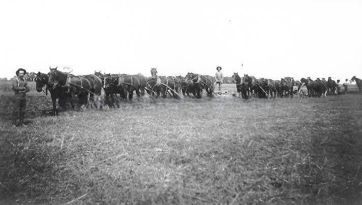 #140 Ranch Hands and Horse-drawn Farm Equipment, 1895
