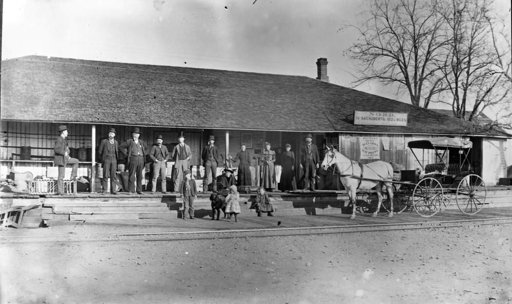 #220 Nord railroad to Sacramento, 1895