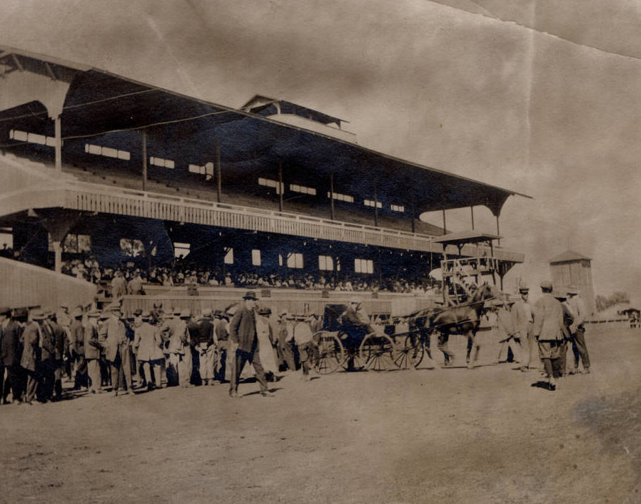 #223 Chico Race Track, 1890
