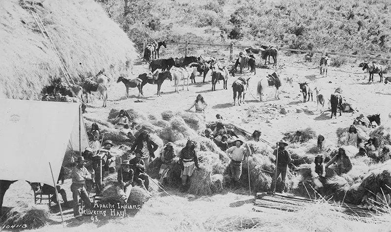 #114 Apaches are depicted delivering hay to American settlers in Arizona in 1893.