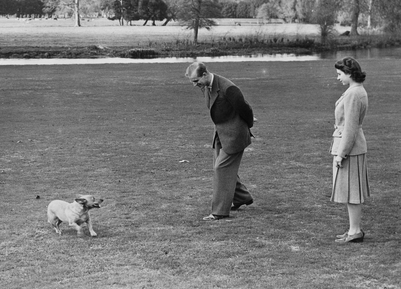 #104 Princess Elizabeth and the Duke of Edinburgh playing with the Princess’s pet corgi Susan at Broadlands in Hampshire, during the start of their honeymoon, 24 November 1947.