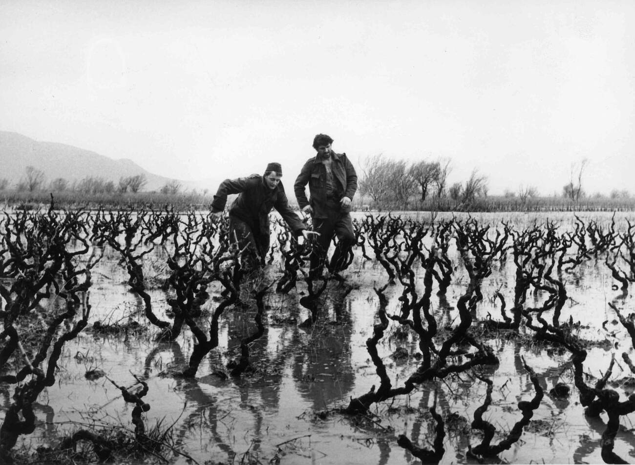 #49 Tri Three Year :1965 Yugoslavia Director : Zvonimir Berkovic Velimir ‘Bata’ Zivojinovic