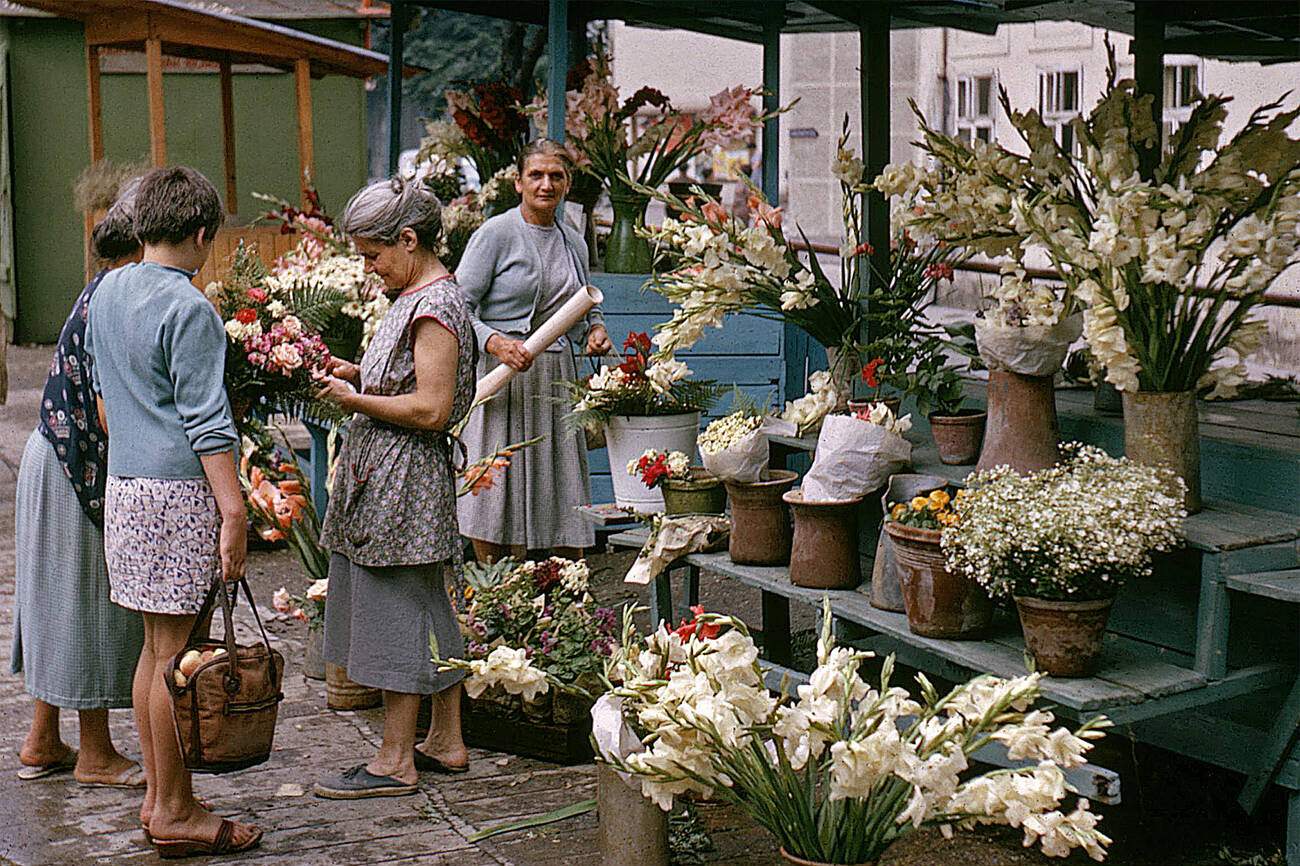 #55 Belgrade ,flowers, market, 1960’s