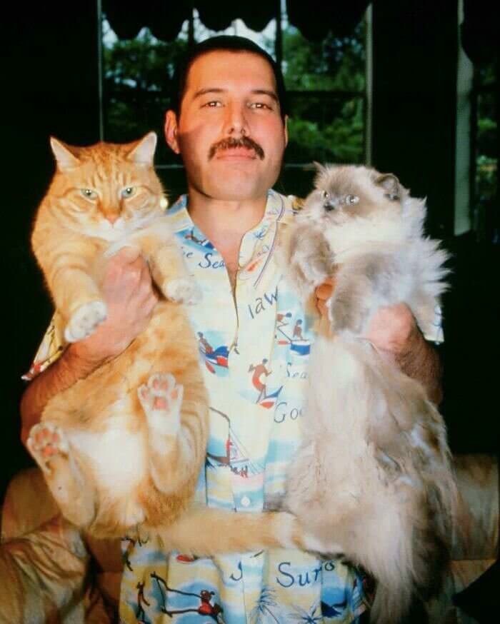#41 Freddie’s Furry Friends