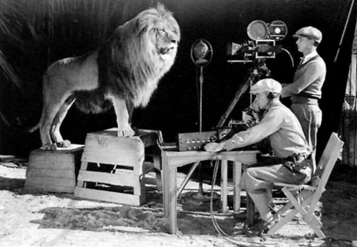 #20 Logo shots for Metro Goldwyn Mayer in 1928