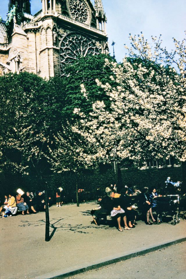 #169 View from Prom. Maurice Carême of the Face of the Southern Transept of Notre Dame Cathedral, Paris.