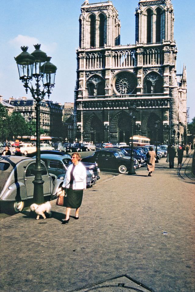 #170 Woman & dog near Notre Dame Cathedral, Paris.