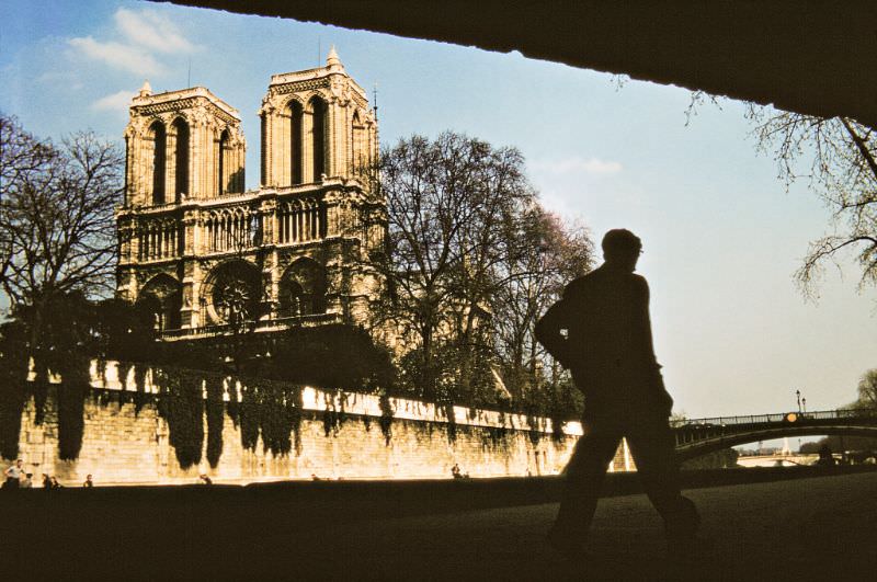#173 View from under the Petit Pont of Notre Dame Cathedral, Paris.