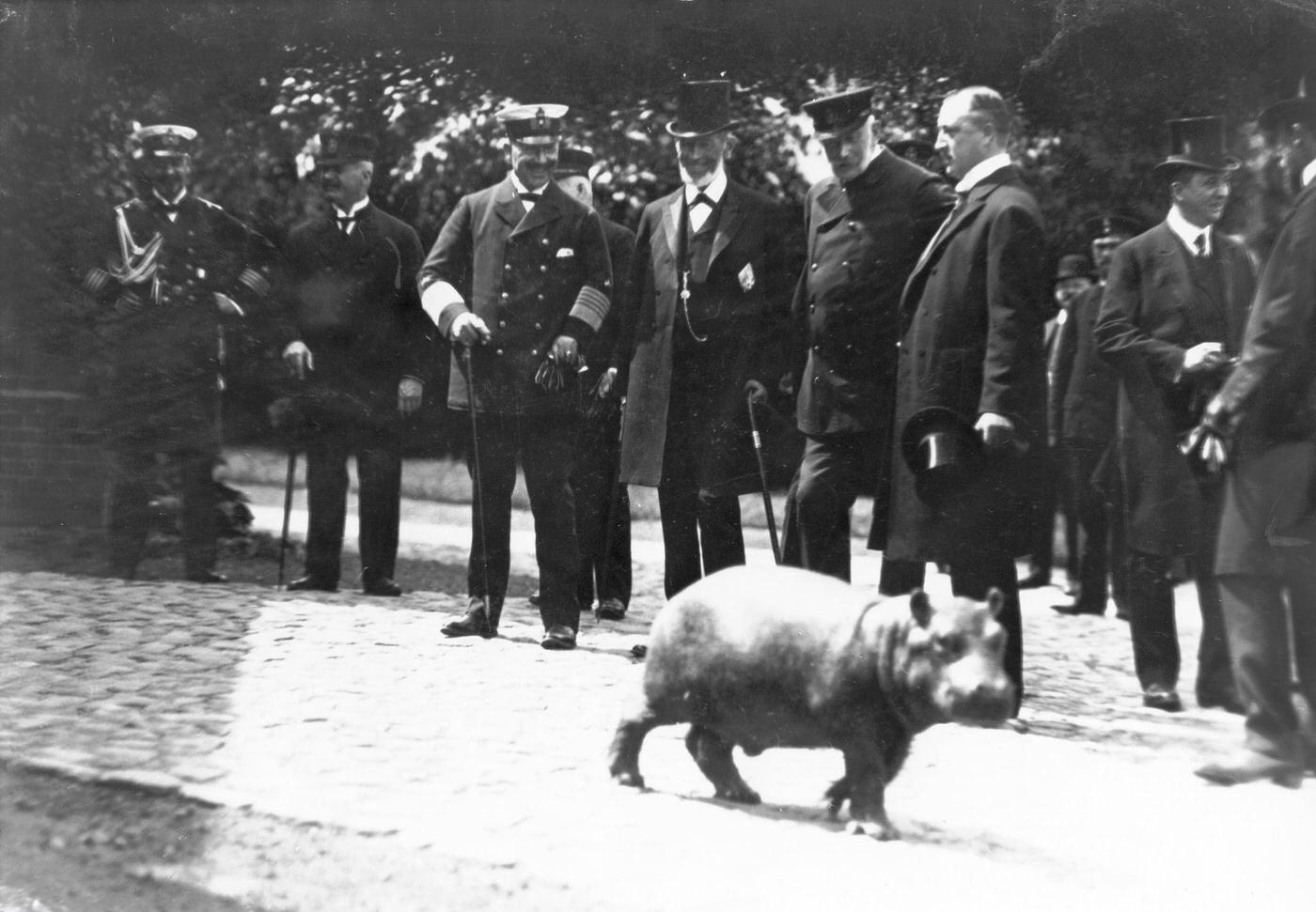 #34 Wilhelm II., German Kaiser, with Carl Hagenbeck at the Tierpark in Stellingen/Hamburg, 1911