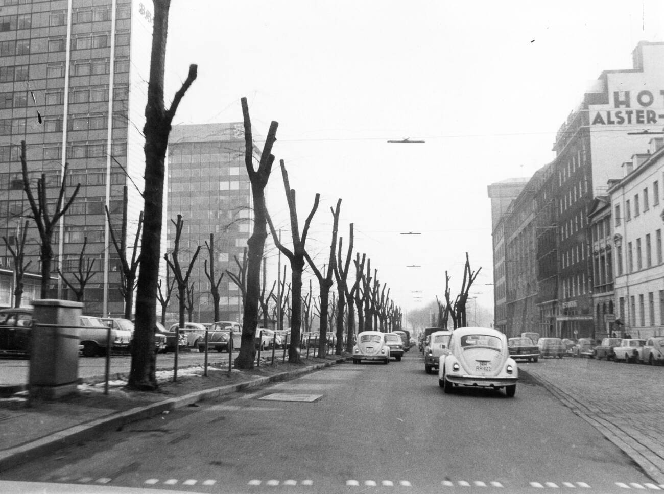 #83 Trimmed trees in front of the BAT House on Esplanade street in Hamburg, Germany in 1970.