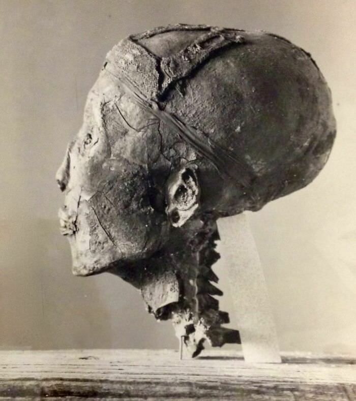 #83 Tutankhamun’s head. Harry burrton photo published dec. 1925.