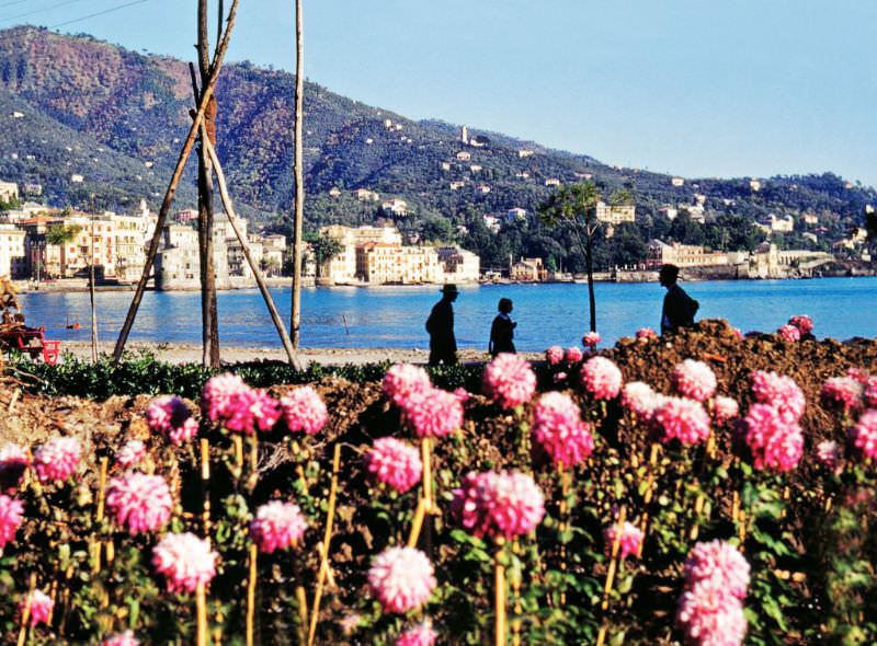 #105 Rapallo, Liguria.