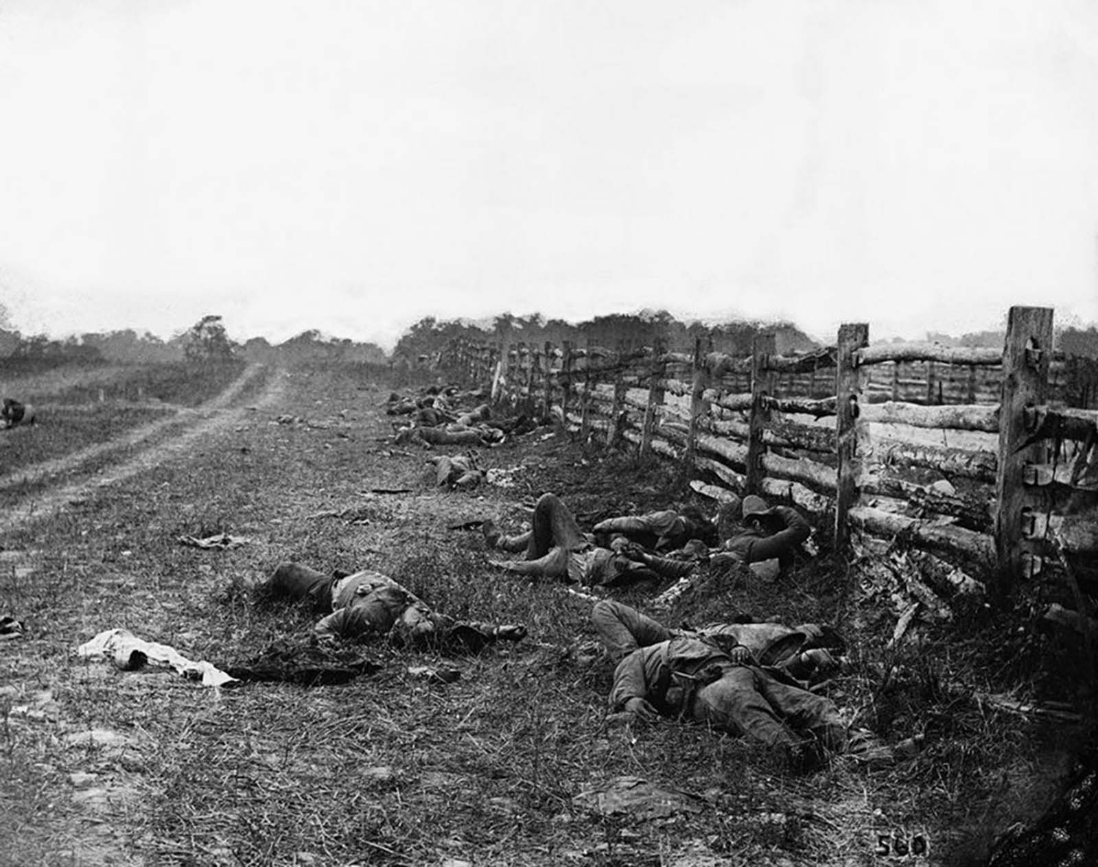 #62 The Dead of Antietam, 1862