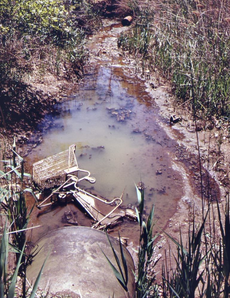 #119 Clogged stream at entrance to great kills park on staten island. Area has been placed under jurisdiction of the gateway national park. It will be developed for camping and environmental education, 1970s