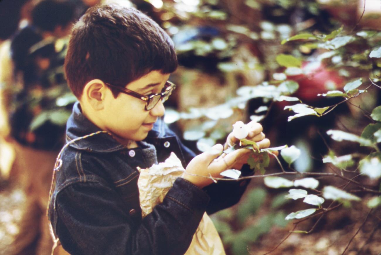 #124 Taking a close look at nature at high rock park on staten island. This boy is a member of a group from ps 163 in new york city school children are frequent visitors to the park, 1970s