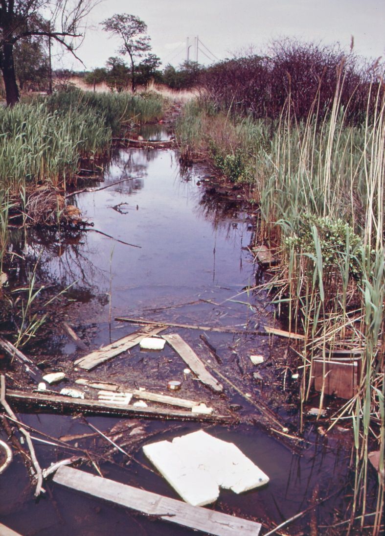 #55 Swamp area near south beach, staten island. Towers of verrazano-narrows bridge in background, 1970s