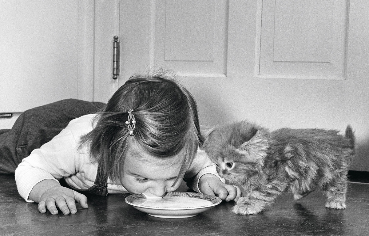 #1 Chiara Chandoha drinks milk next to a kitten in 1961. She is one of the daughters of legendary cat photographer Walter Chandoha.