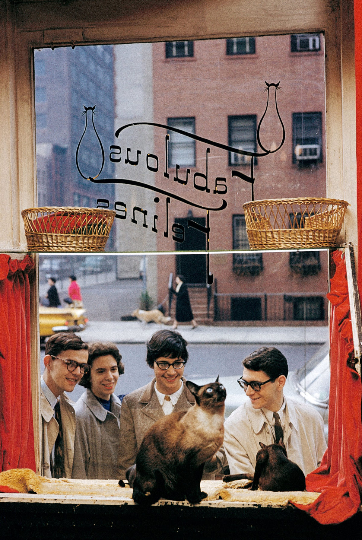 #16 Onlookers at Fabulous Felines pet store, New York City, 1961.