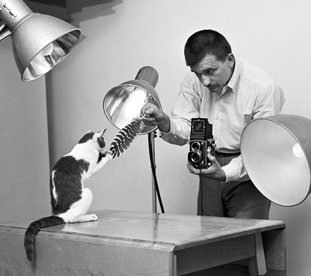 #22 An early photoshoot between photographer and subject, taken in Chandoha’s Long Island home studio in 1955.