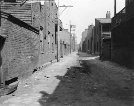 #102 View of alley of O’Fallon between 9th and 10th streets, 1930