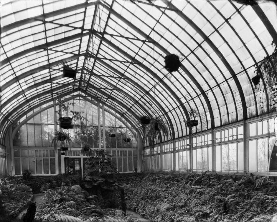 #128 Interior of Fern House at Shaw’s Garden (Missouri Botanical Garden, 1930