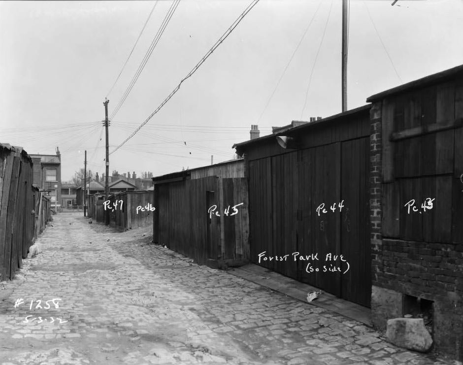 #46 View of sheds and garages on Forest Park Ave. alley, south side, 1932.