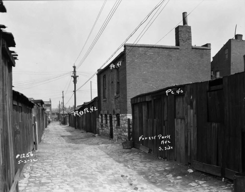 #49 View of sheds and garages on Forest Park Ave. alley, south side, 1932.