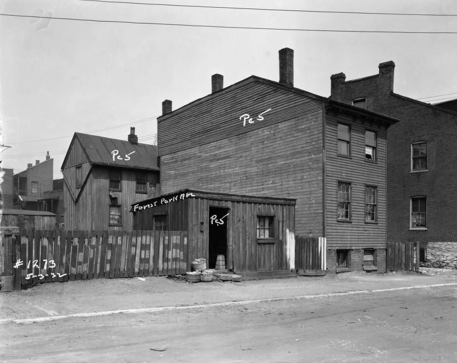 #224 View of Forest Park Ave. from Pc. 5, 1932.