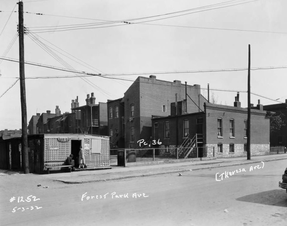 #226 View from rear of buildings near Forest Park Ave. and Theresa, with women selling barbecue hot dogs, 1932.