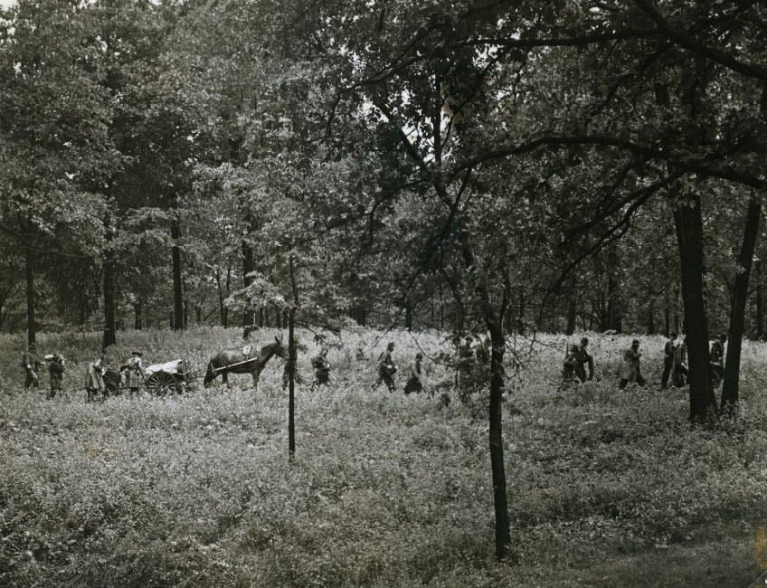 #143 Soviet Red Army advances with telephone unit into wooded territory, 1930