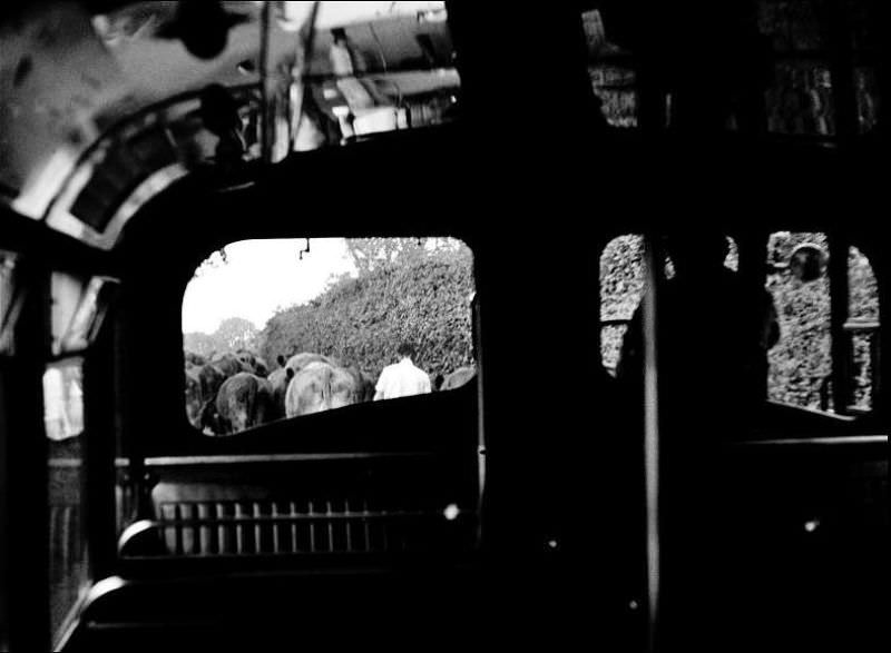 #33 That road to Stoke Gabriel can get very busy at rush hour, 1970