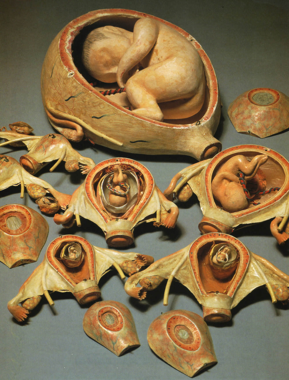 19th Century Japanese Pregnancy Dolls: A Fascinating Peek into Edo Period Sideshow Attractions Inven