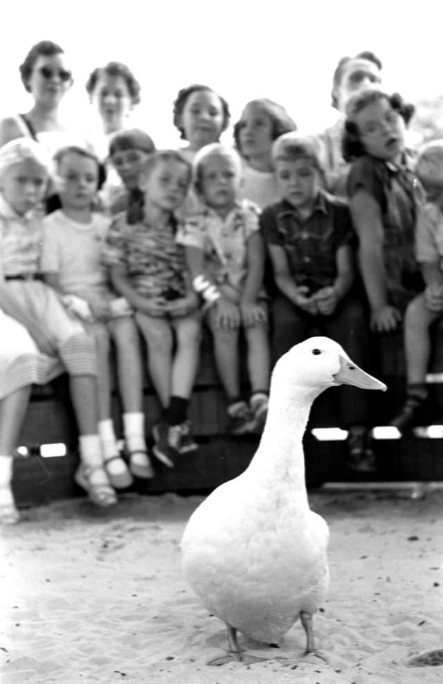 #11 The original LIFE story was titled “Zoo’s Babies Get Overdose of Love.”