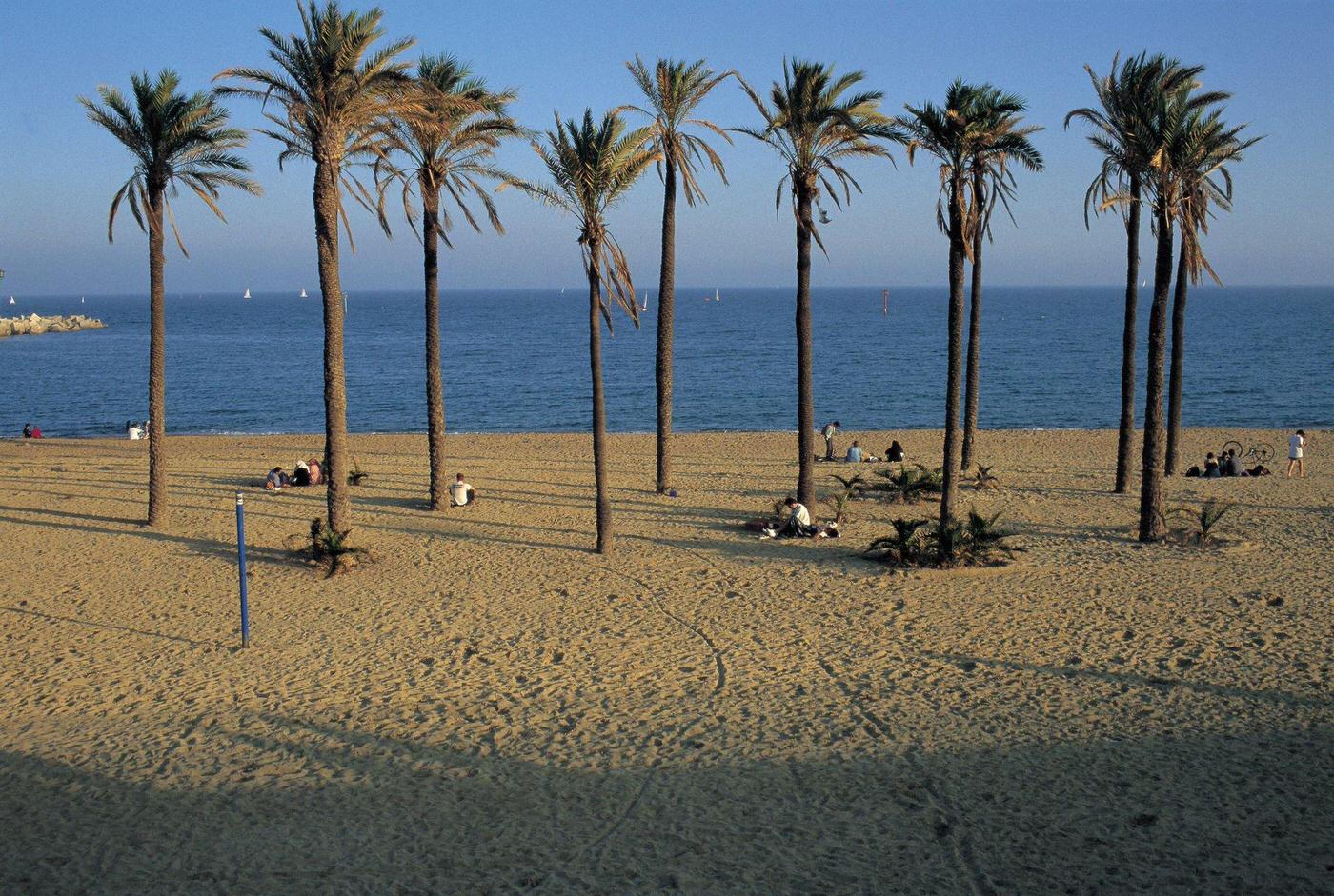 #31 Beach of Barcelona People taking sunbaths in a beach of Barcelona