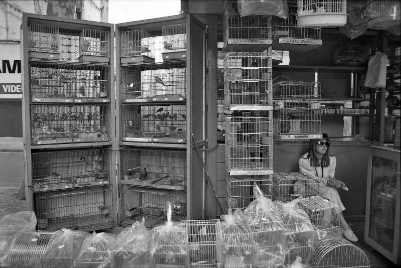 #8 Budgie City, La Rambla, Barcelona, 1990.
