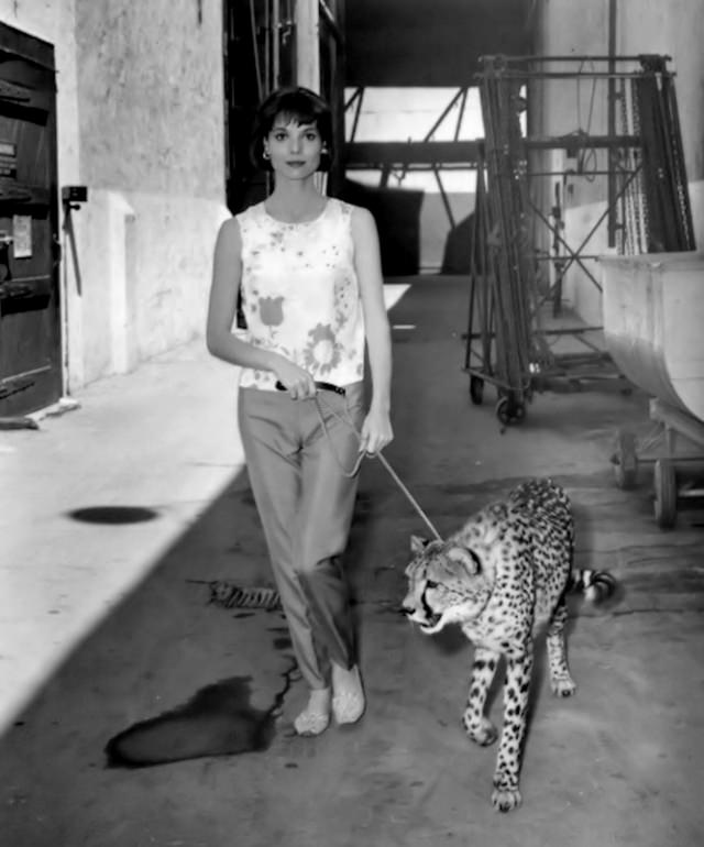 #11 Elsa Martinelli, 1962