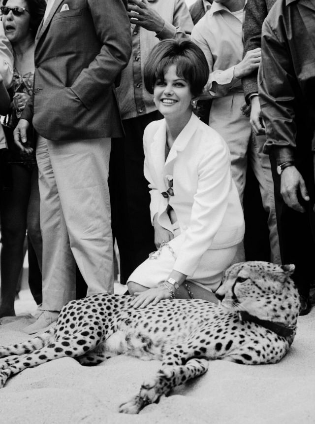 #12 Claudia Cardinale, 1963