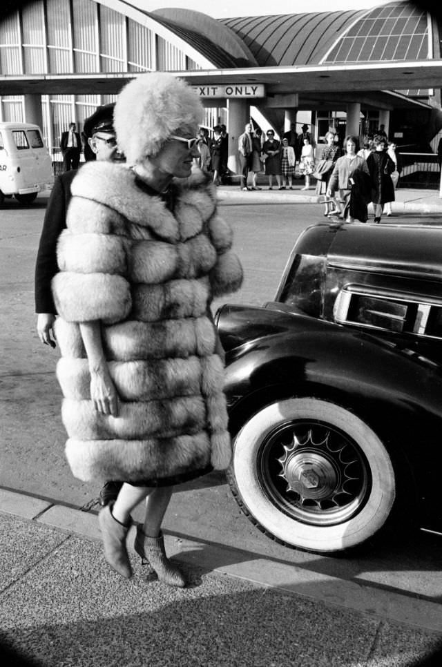#24 Phyllis Diller, wearing a fox fur coat and high-heeled half boots, is picked up by a driver sent by her husband at the St. Louis airport, April 1963.