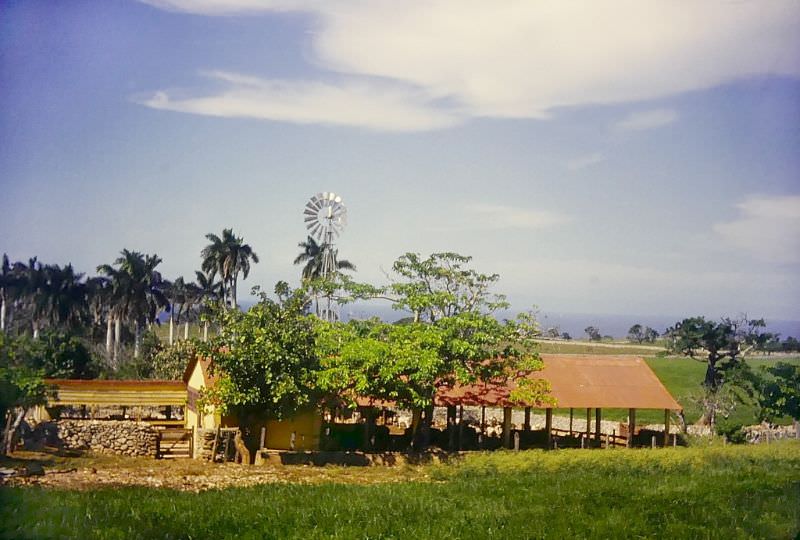 #17 Matanzas, Cuba, 1950