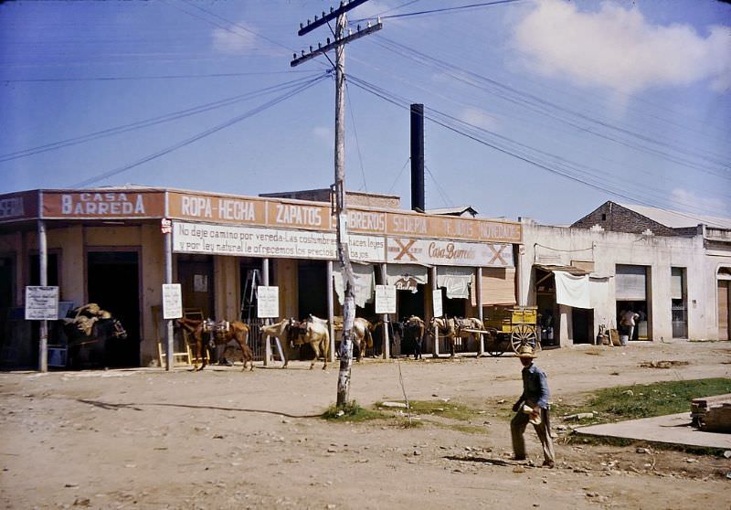 #2 A store in Cuba, they were still using horses for transport in 1950