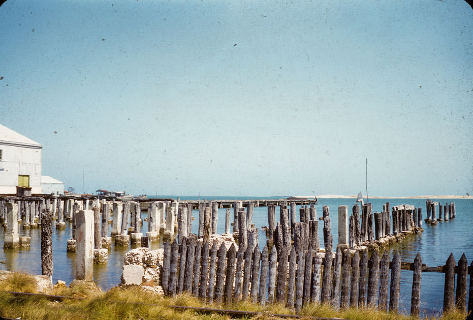 #20 Pilings at water’s edge