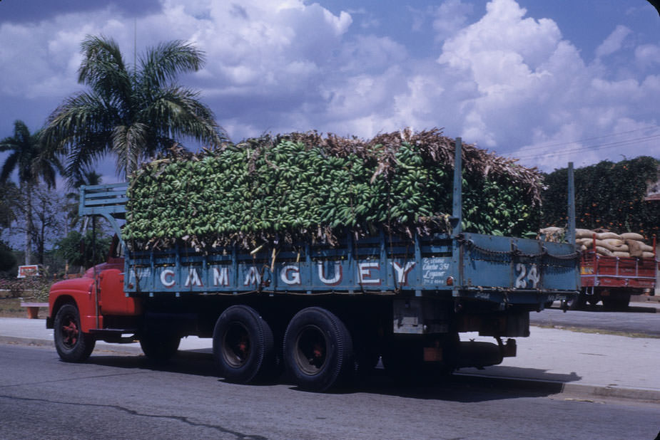 #29 Truckload of bananas