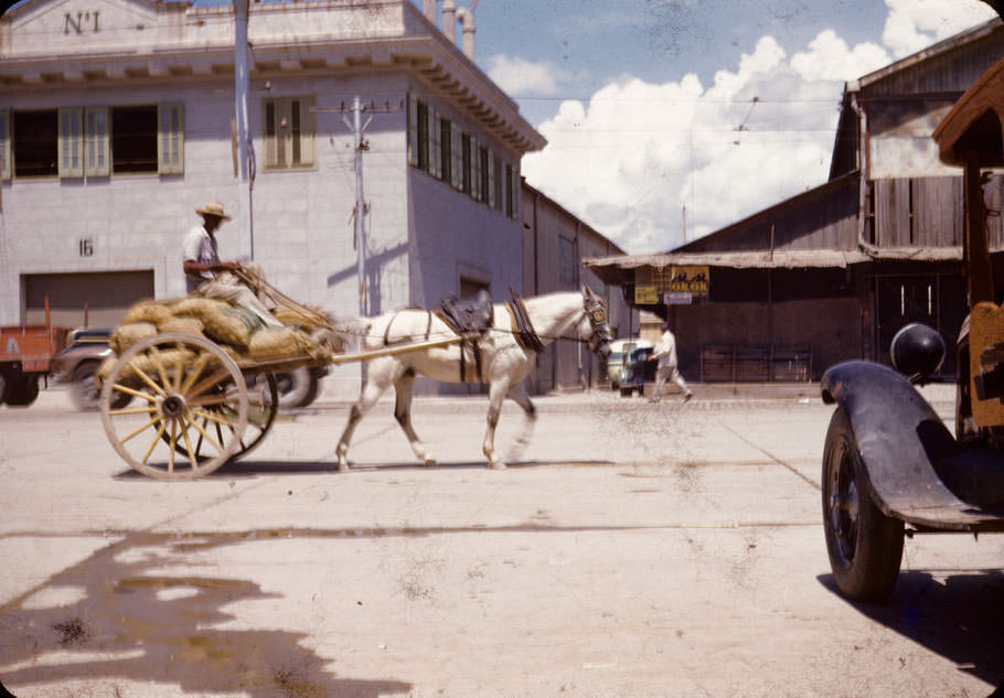 #33 White horse with saddle pulling cart loaded with sacks in Santiago de Cuba