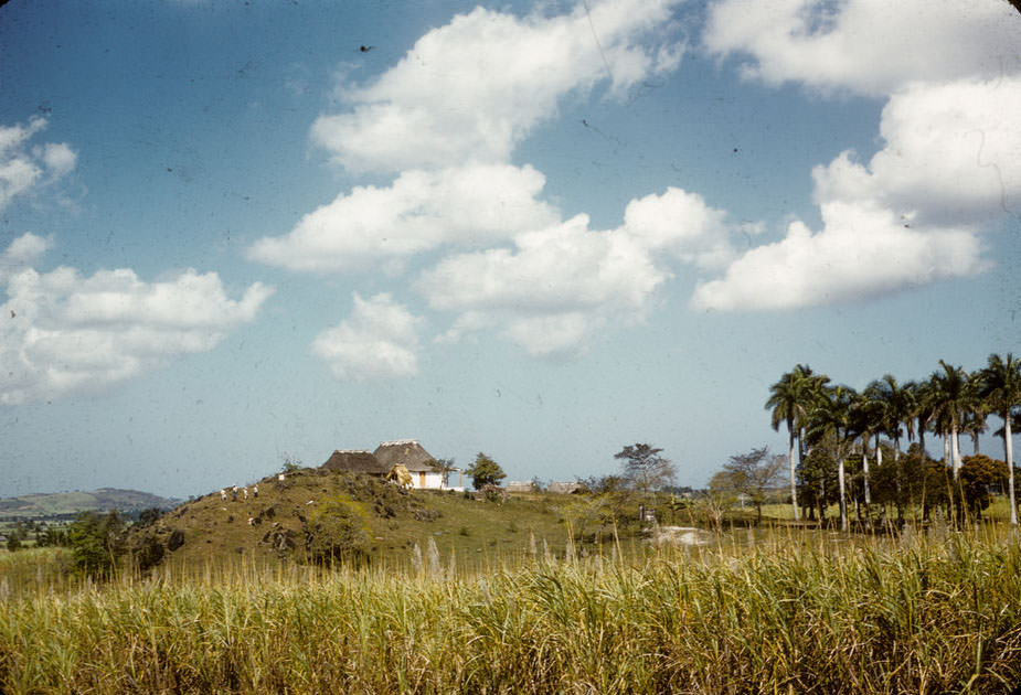 #9 Home in cane field, Cuba