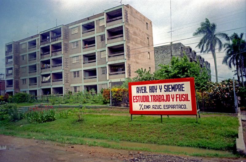 #43 Yesterday, today and always. Study, work and the rifle’, 1981