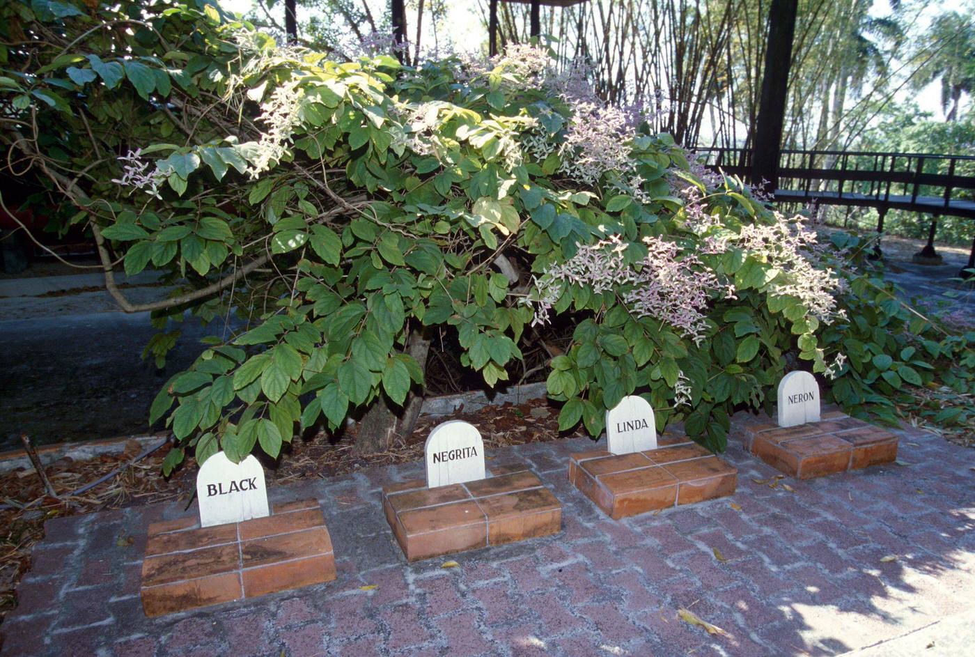 #5 Graves of four dogs at Ernest Hemingway’s house, Finca Vigia, in San Francisco de Paula, Cuba, 1990.