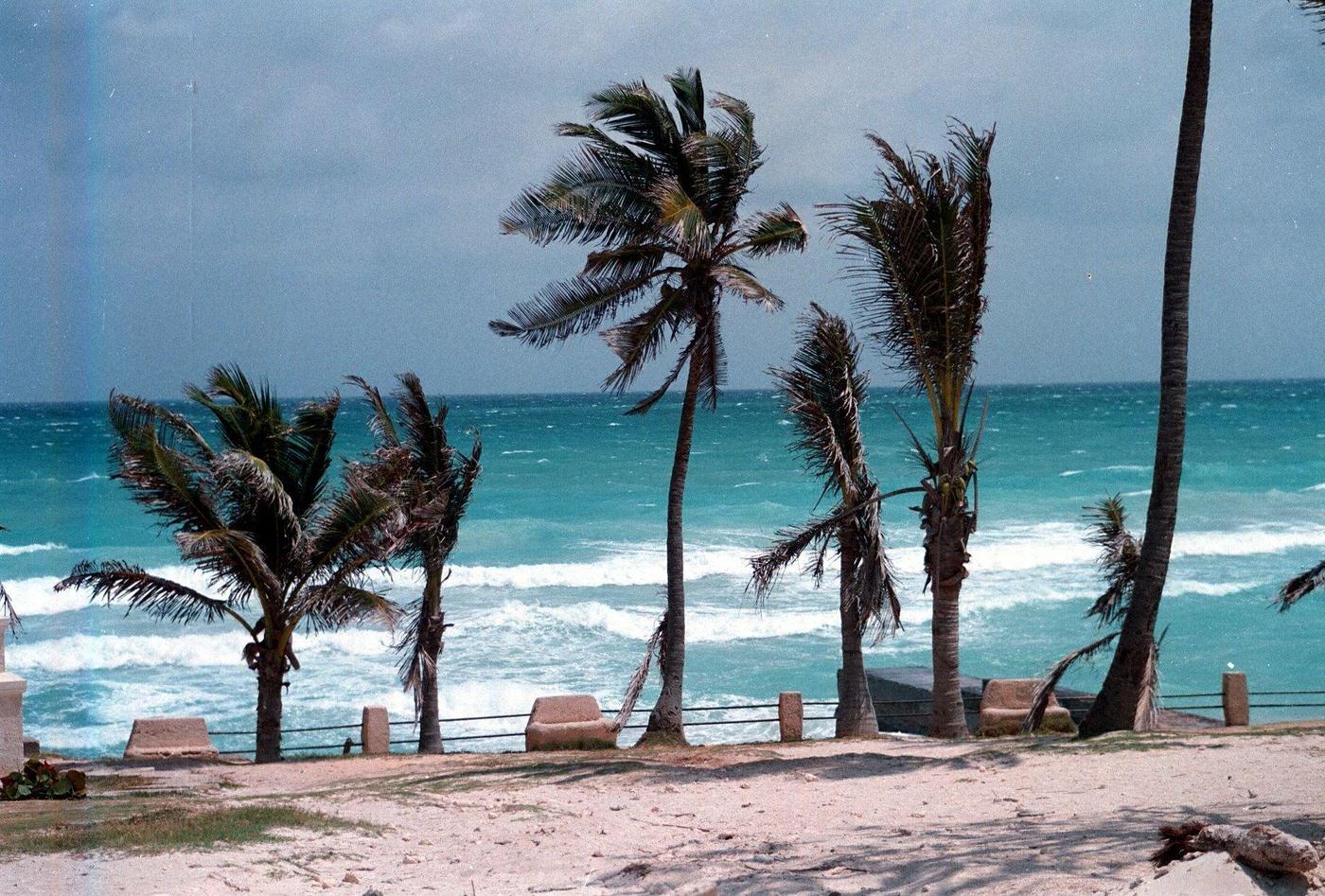 #94 Beach, palm trees, and sea in Varadero, Cuba.