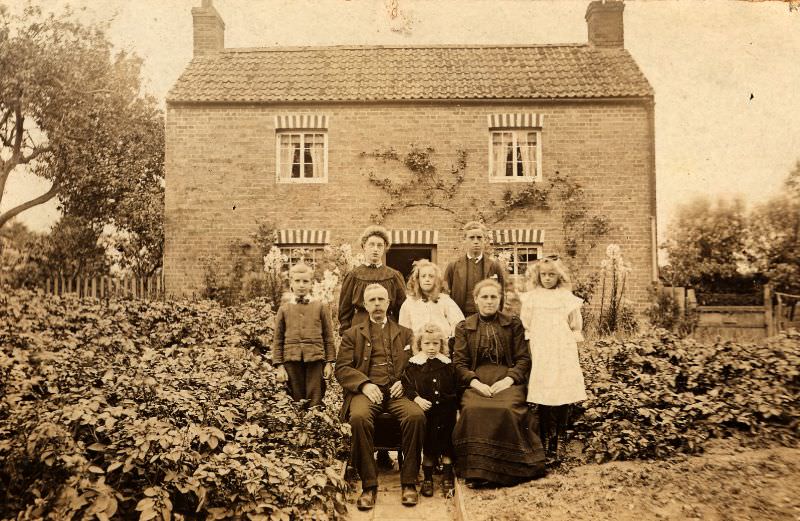 #40 Sitting in the potatoes