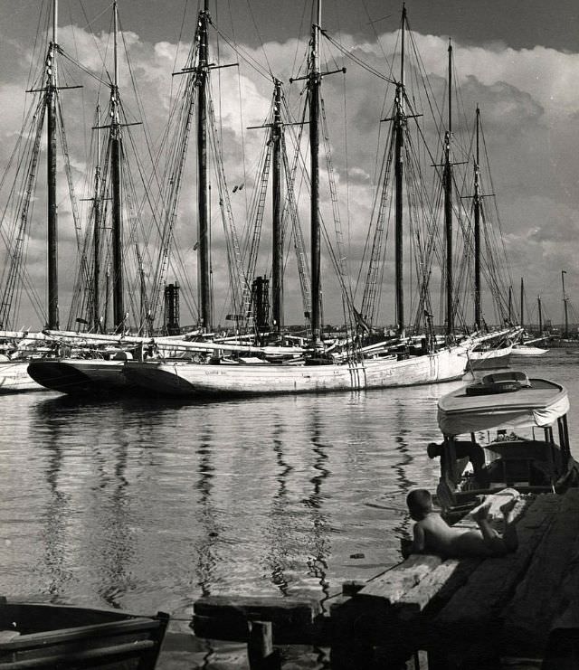 #5 Havana Harbor, Cuba, 1933